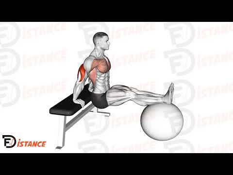 Exercice Dips sur banc avec pieds sur ballon (swiss ball)