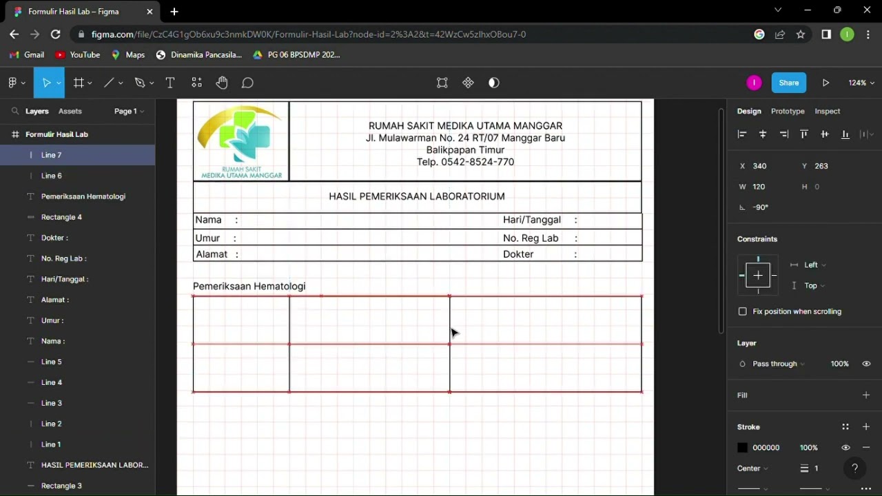 Pembuatan Formulir Hasil Lab