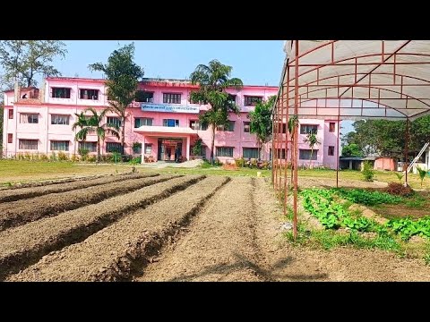Video 6
