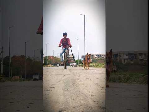 German shepherd aggressive dog 🐶 pootball vs German shepherd#dog #trending #boy #pootball #German