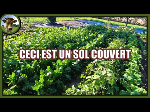 , title : 'Suivi de culture 19.09.22 Je sème sur sol nu ➡️ Grrr !👿 Mais je cultive des sols couverts ➡️ Ouf !😇'