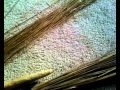 How To Make A Besom Broom Bristles