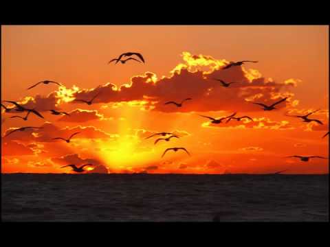 Stelvio Cipriani - Gabbiani al tramonto - 1988