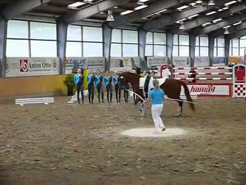 Ravensberg-Lippe Einlauf 2012