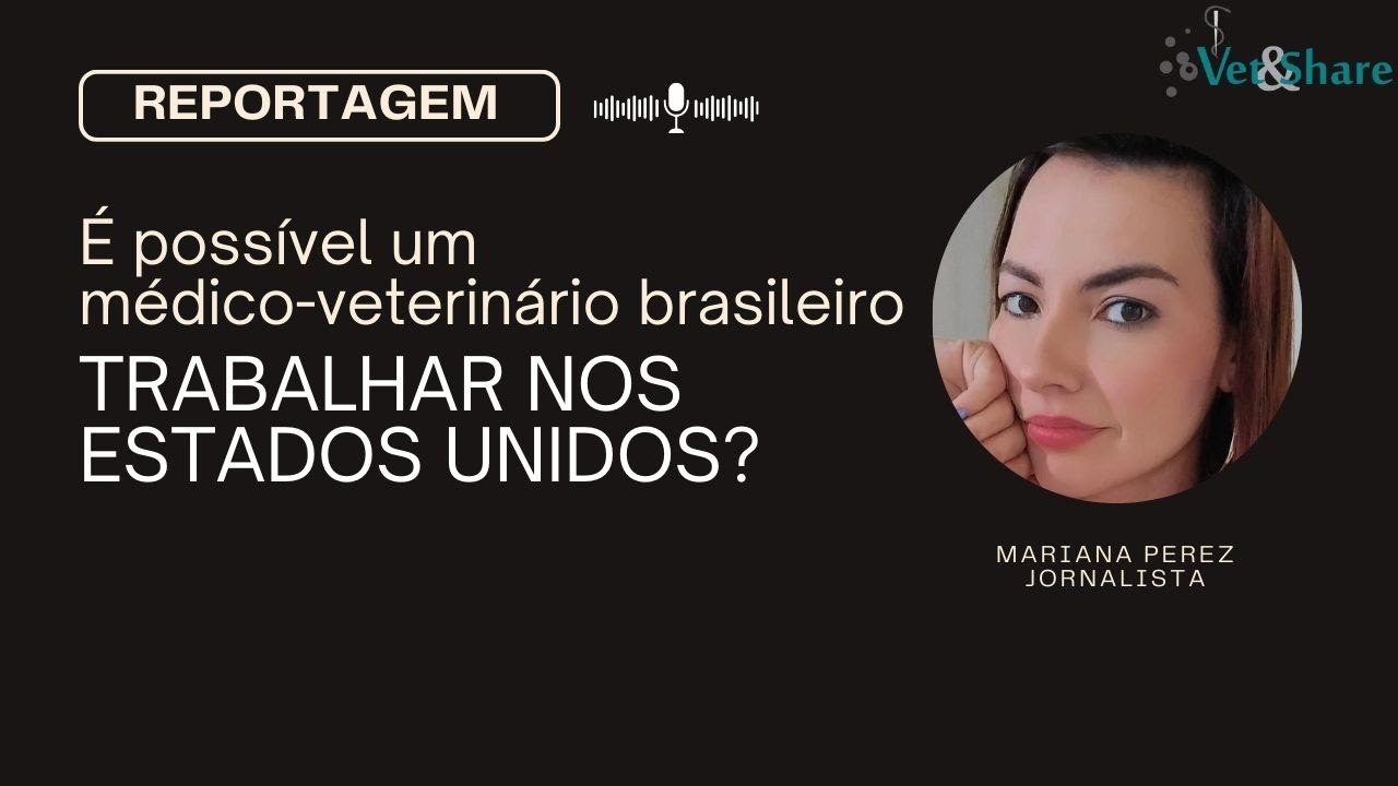 É possível um médico-veterinário brasileiro trabalhar nos Estados Unidos?
