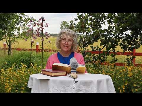 Hur vi får Guds Frid  -  från boken ”Är då Kristus delad?" (Suddig på YouTube)