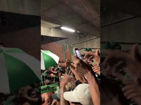 "LOS DEL SUR " Barra: Los del Sur &bull; Club: Atlético Nacional