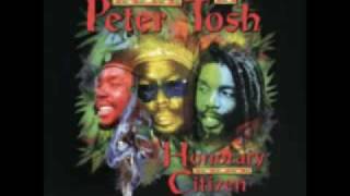 Peter Tosh - Pound Get A Blow