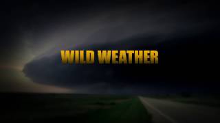 WILD WEATHER preview