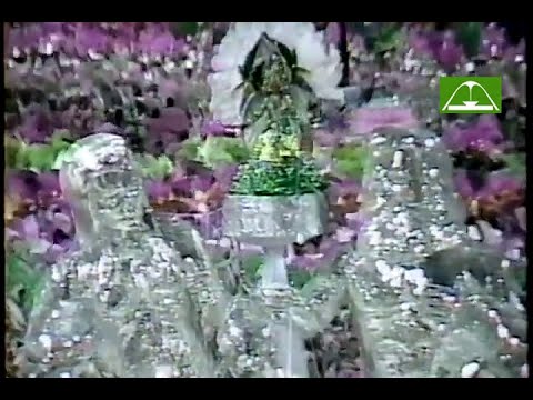 Mangueira 1986 (Globo)