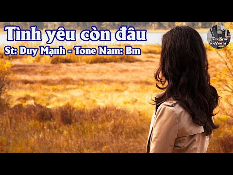 Karaoke Tình Yêu Còn Đâu Tone Nam | TAS BEAT