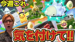 うっかり忘れに気を付けて!!今週やるべきはこれ!!だ!!!【ポケモンGO】