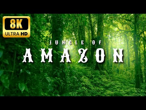 Amazon’s Hidden Beauty in 8K Ultra HD