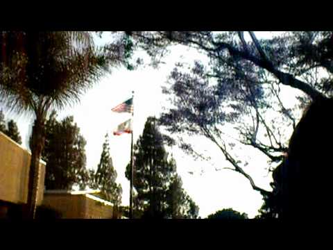 O HOOD ( AT THE PARK )