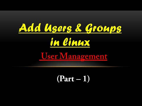 How to make user and Group Management in Linux? – Linux Kings
