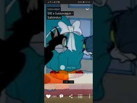 S10 x tussuvagun - Satsindus