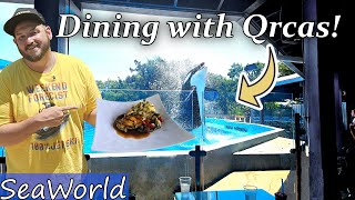 What's It Like to Dine with Orcas? SeaWorld Hidden Gem Revealed!