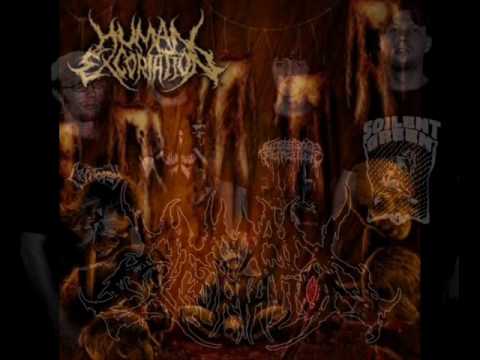 Human Excoriation - Ravenous Dissipation