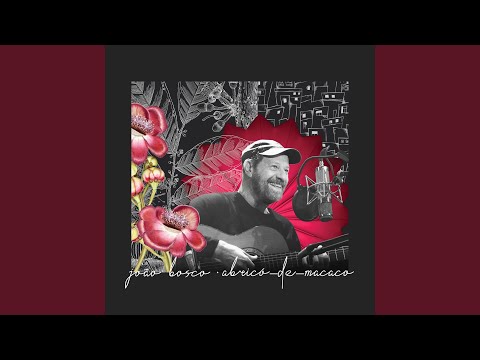 Senhoras do Amazonas (Comentada)