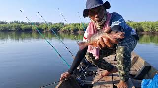Download lagu SPOT MANCING IKAN PREDATOR MANGROVE TERBAIK. #fishing #mangrovejack. mp3