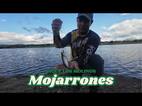 Mojarras en Dique Los Molinos
