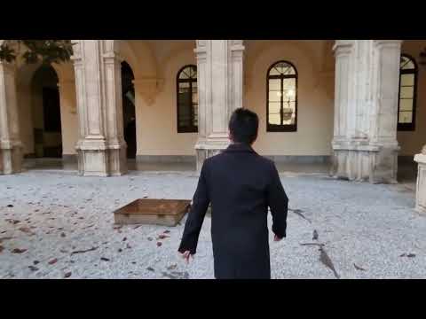 My Story in Granada.... Student Exchange Experience with IISMA!