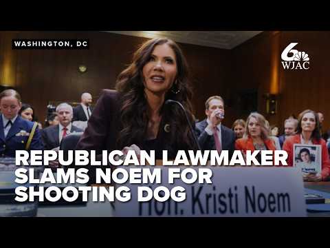 Republican Senator slams Kristi Noem for killing her dog, compares action to Minnesota ICE shootings