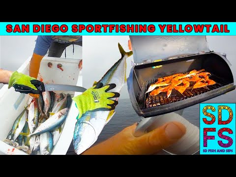 Kelp Paddy Yellowtail San Diego Sportfishing Liberty | | Hamachi Kama Collar Traeger Smoker Recipe