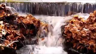 HOŞGELDİN - RESUL DİNDAR