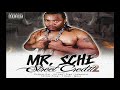 Mr Sche - Im So Wired