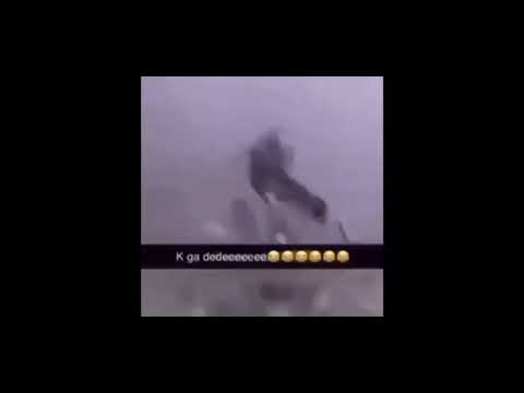 Er zit een kanker duif in mijn kanker huis - YouTube