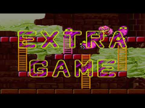 Rod Land arcade playthrough