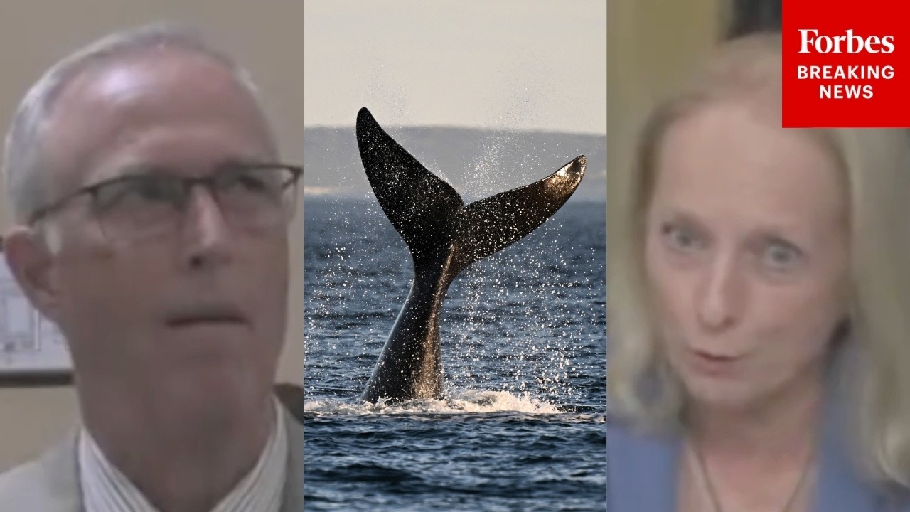 Video: Scanlon and Huffman Criticize Mining and Lobster Bills in House Hearing