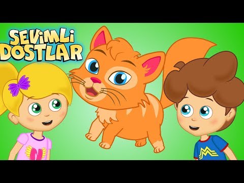 Kedi Miyav Dedi ve Sevimli Dostlar ile 45 Dakika Çocuk Şarkıları | Kids Songs and Nursery Rhymes