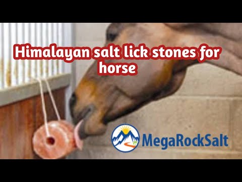 #Licksalt #Animallick #horselicksalt  Himalayan salt lick for horses | Animal lick salt | Mega Salt