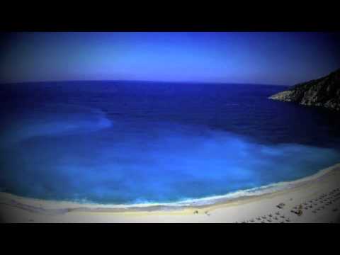 Eric Kupper presents Roy Camembert & his Orchestra -- Missing