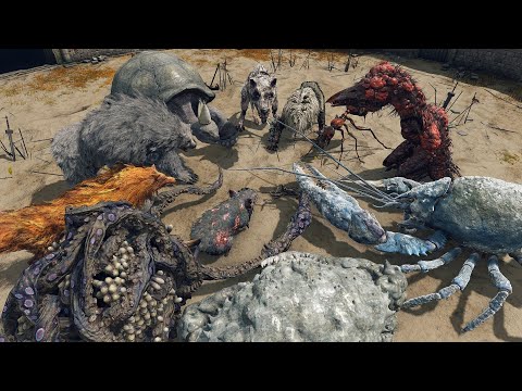 All Now Animals Tournament - Elden Ring