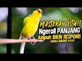 SUARA BURUNG 414 Kenari GACOR PANJANG INI Cocok Untuk Masteran KENARI PAUD Dan Kenari Macet BUNYI