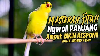 Download lagu SUARA BURUNG |414| Kenari GACOR PANJANG INI Cocok untuk Masteran KENARI PAUD dan Kenari Macet BUNYI mp3 Download lagu SUARA BURUNG |414| Kenari GACOR PANJANG INI Cocok untuk Masteran KENARI PAUD dan Kenari Macet BUNYI mp3