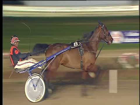 Trotto 29/12/2017 7ª corsa