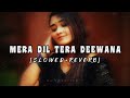 MERA DIL TERA DEEWANA SLOWED REVERB ️ ️ Aaablautchalen Alkayagnik Qualityofsound 90severgreen
