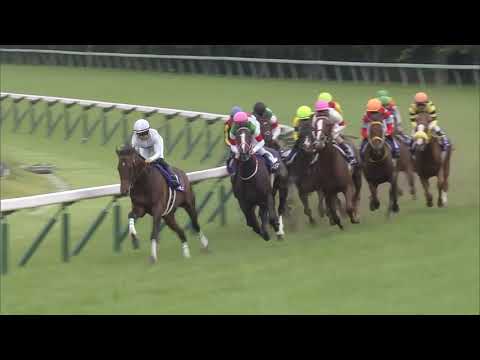 2019 Takarazuka Kinen (G1)