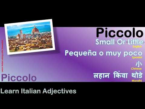Piccolo - How to Pronounce Piccolo in Italian with English meaning as Small Or Little?
