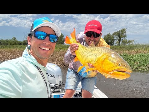 Impresionante pesca de Dorados en San Javier - Santa Fe