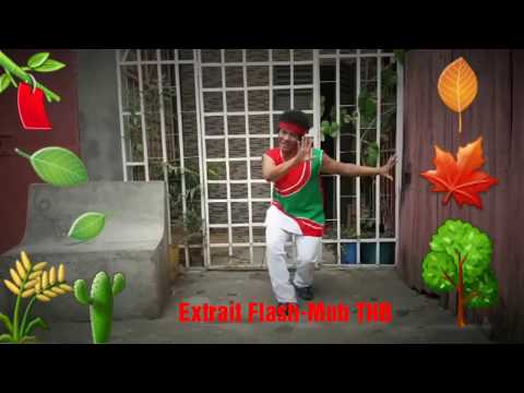 NAVIN a créé une danse pour THB 60 ans