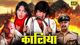 Vintage amitabh bachchan action movie kaalia 1981 parveen babi kader khan amjad khan pran
