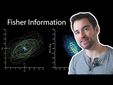 The Fisher Information