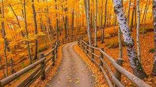 "Autumn Golden Pathway" Beautiful Relaxing Music, Peaceful Soothing Instrumental Music Love YourSelf