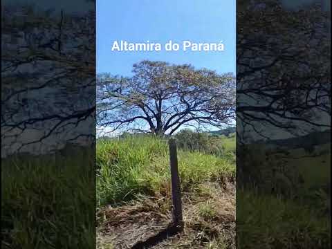 Altamira do Paraná