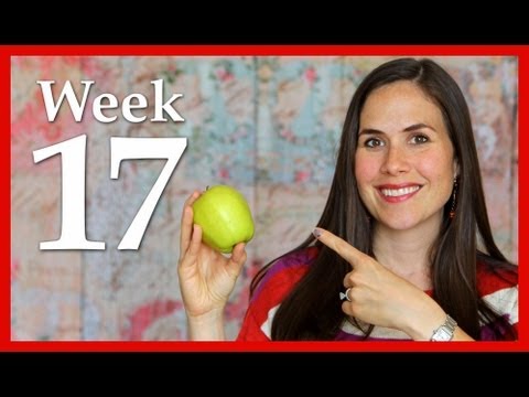 My Pregnancy @ 17 Weeks + Belly Shot